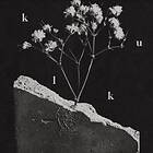 Kulk - We Spare Nothing LP