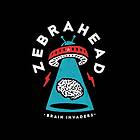 Zebrahead Brain Invaders LP