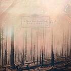 If These Trees Could Talk Forest LP