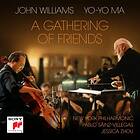 John Williams A Gathering Of Friends LP