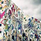The Dandy Warhols Why You So Crazy LP