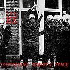 The Ex Disturbing Domestic Peace LP