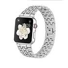 Skalo Länkarmband Bling Apple Watch 42/44/45/49mm Silver