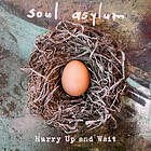 Soul Asylum Hurry Up And Wait LP