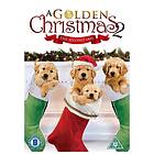 A Golden Christmas 2