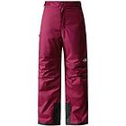 The North Face Freedom Insulated Pants (Homme)