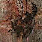 Avey Tare's Slasher Flicks Enter The House LP