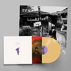 Sharon Van Etten We've Been Going About This All Wrong Limited Deluxe Edition LP