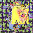 Animal Collective - Ballet Slippers LP