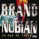 Brand Nubian In God We Trust 30th Anniversary Edition LP