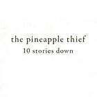 The Pineapple Thief 10 Stories Down LP