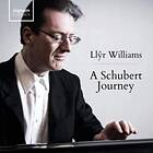 Llyr Williams A Journey CD