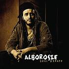 Alborosie Soul Pirate LP