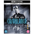Casablanca (UHD+BD) (Import)