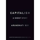 Arundhati Roy: Capitalism: A Ghost Story