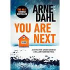 Arne Dahl: You Are Next