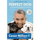 Cesar Millan: How to Raise the Perfect Dog