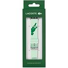 Lacoste Apple Strap Green Small 38/40MM 2050019