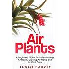 Louise Harvey: Air Plants