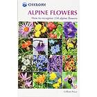 Gillian Price: Alpine Flowers