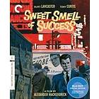 Sweet Smell of Success - Criterion Collection (US) (Blu-ray)