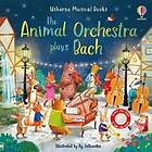 Sam Taplin: The Animal Orchestra Plays Bach