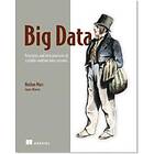 Nathan Marz: Big Data:Principles and best practices of scalable realtime data systems