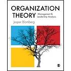 Jesper Blomberg: Organization Theory