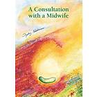 Ingeborg Stadelmann: Consultation with a midwife: Sensitive, natural guidance th