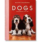 Reuel Golden: Walter Chandoha. Dogs. Photographs 1941-1991