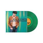Ron Sexsmith Long Player Late Bloomer LP