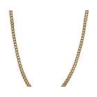 Arock IGGY halsband Guld