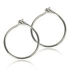 Blomdahl Natural Titanium Safety Ear Ring 14 mm Örhänge