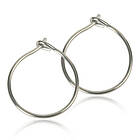 Blomdahl Natural Titanium Safety Ear Ring 12 mm Örhänge