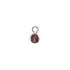 CU Jewellery Letters stone 1 red garnet pend silver