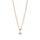 Sif Jakobs PRINCESS PICCOLO halsband vita Zirkoner (guld)
