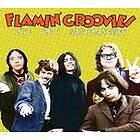 Flamin Groovies Live 1971 San Francisco CD