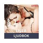 Cupido Lilla fru Hansen, Ljudbok