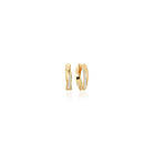 Sif Jakobs Ferrara Piccolo Förgyllt Silver Örhängen Med Zirconia SJ-E12108-CZ-SG