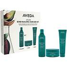 Aveda Botanical Repair Bond Building Haircare Kit