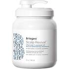 Briogeo Scalp Revival Oil Micro Exfoliating Shampoo 946ml