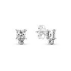 Pandora Sparkling Round & Square Örhängen