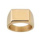 Edblad Cole Signet Ring Gold