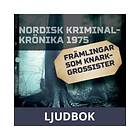 Främlingar som knarkgrossister, Ljudbok