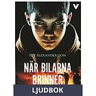 När bilarna brinner, Ljudbok