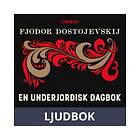 En underjordisk dagbok, Ljudbok