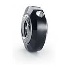 Viceroy Dampärlor VMM0132-05 Svart (1 cm)