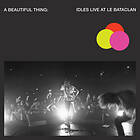 Idles A Beautiful Thing LP