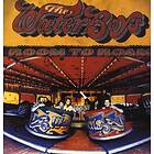 The Waterboys Room To Roam LP