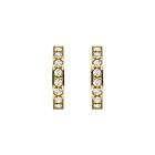 Rosefield Crystal Hoops Gold JECHG-J571